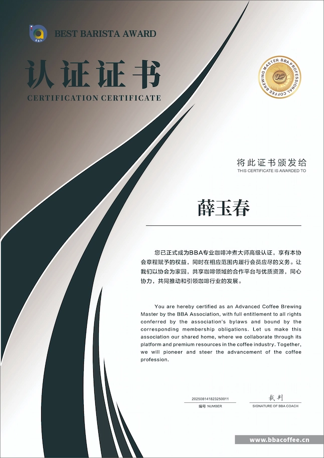 高级冲煮技能认证