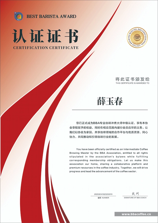 中级冲煮技能认证